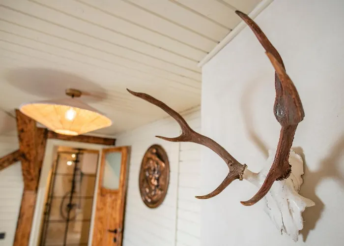 Guest house Barrique Chambers *